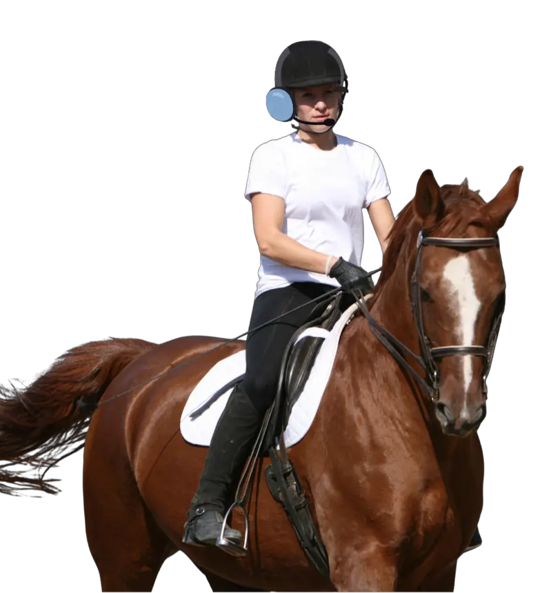 Contacto Ama Zona Horses